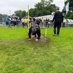 2024 (overdag) 